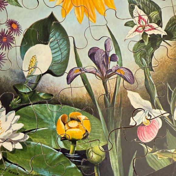 Vintage 1966 Springbok Puzzle Wild Flowers Approx. 60 Lg Pieces By Maynard Reece - Picture 7 of 15